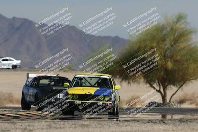 media/Oct-12-2025-Lucky Dog Racing (Sun) [[8adb5568ea]]/3-Third    Stint/4-Turn 4 (Tree of Life)/